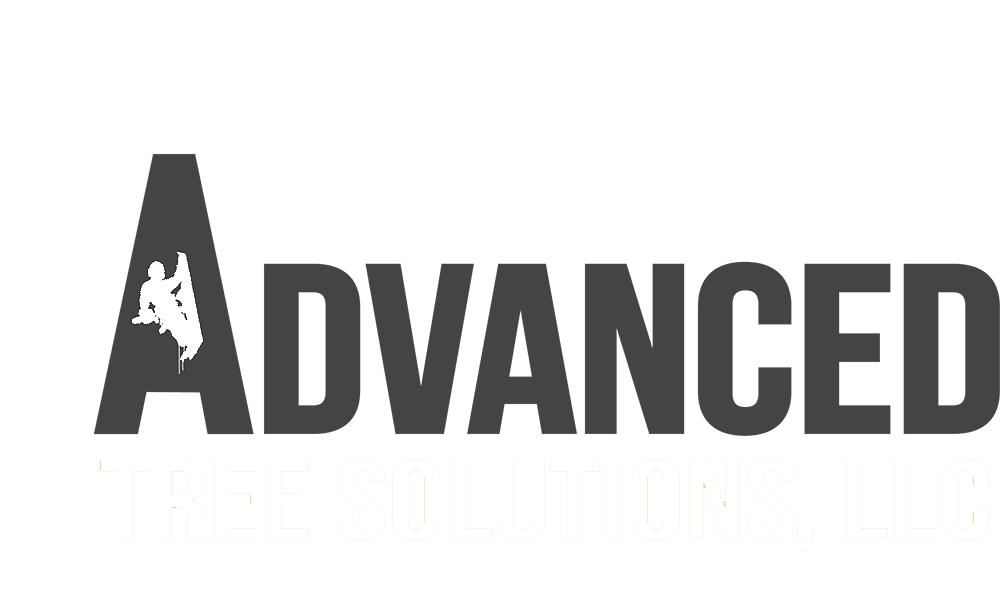 Advanced Tree Solutions logo