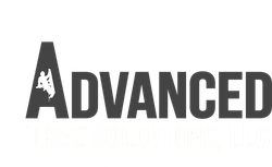 Advanced Tree Solutions logo