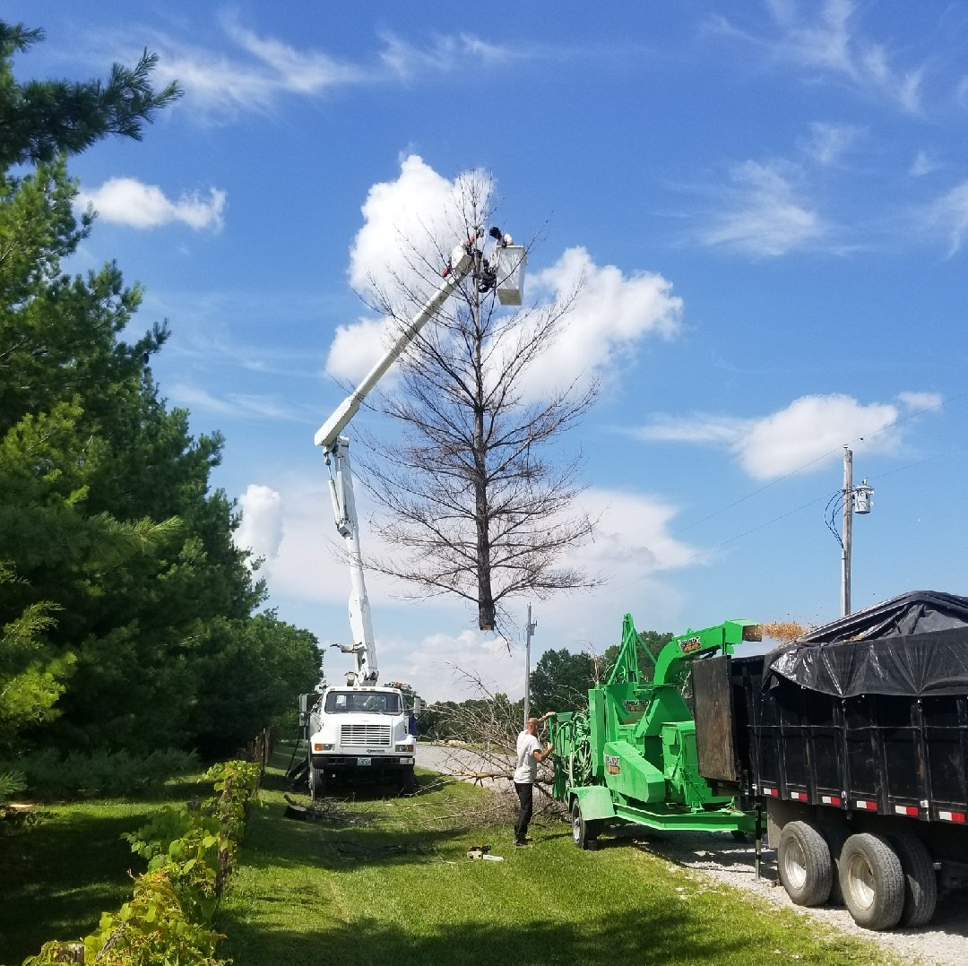 truck removing tree