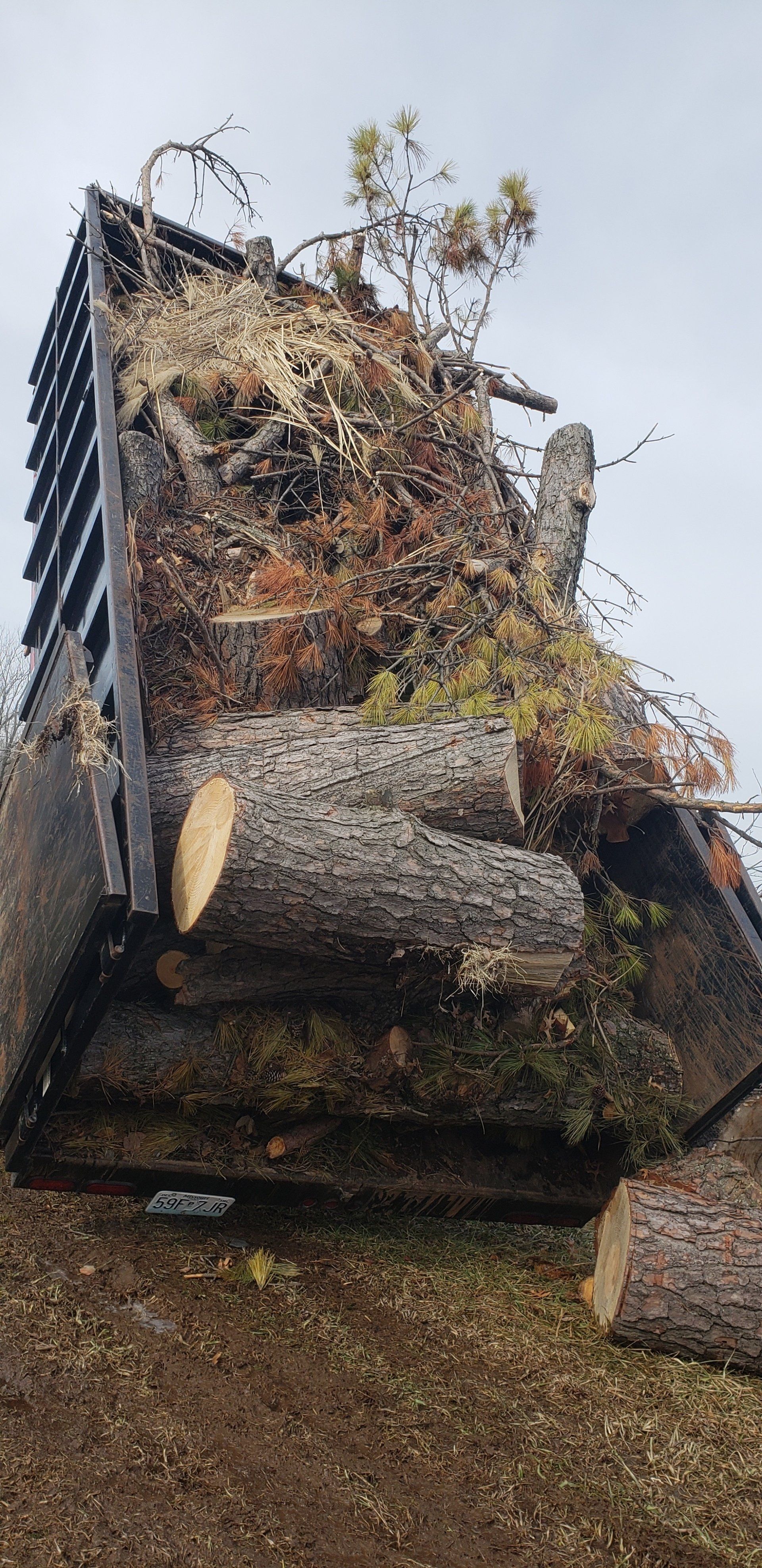 tree debris in wagon