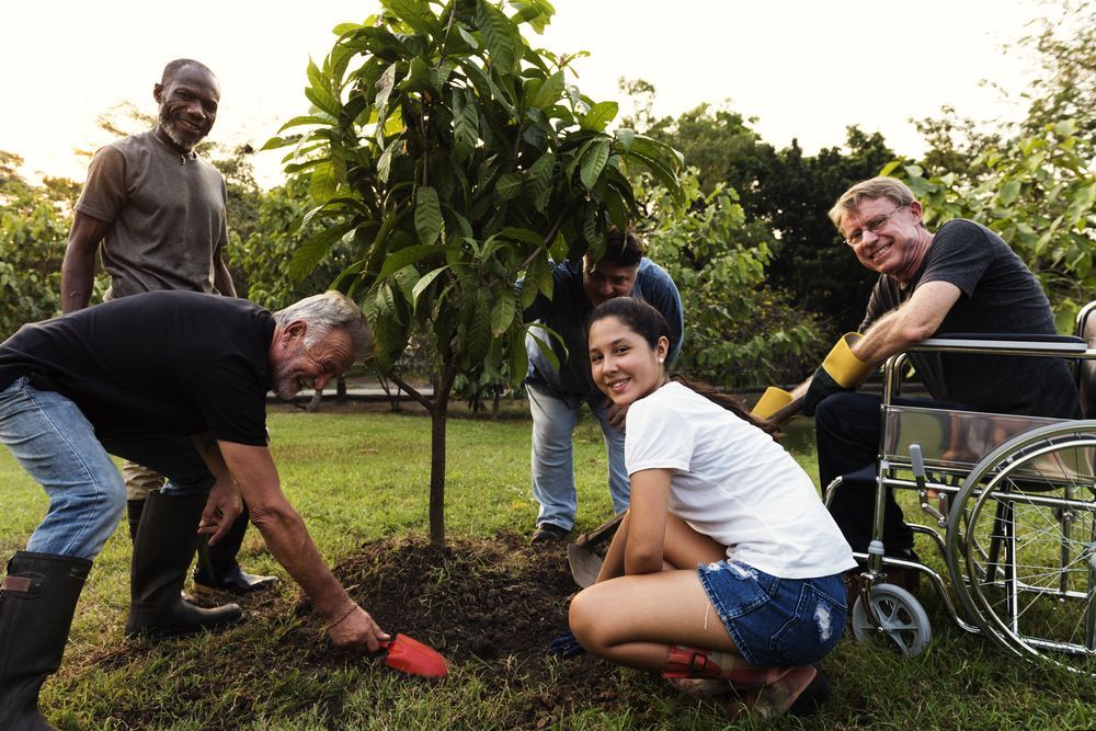 A Group of People Are Planting a Tree in a Park — Better Access Support Services In Highfields, QLD