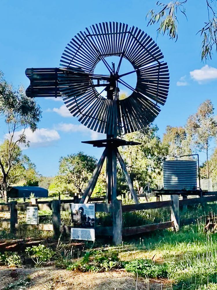 A Large Windmill is Sitting in the Middle of a Grassy Field — Better Access Support Services In Highfields, QLD