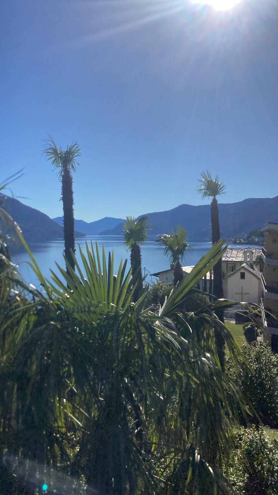 Una vista di un lago con palme in primo piano e montagne sullo sfondo.