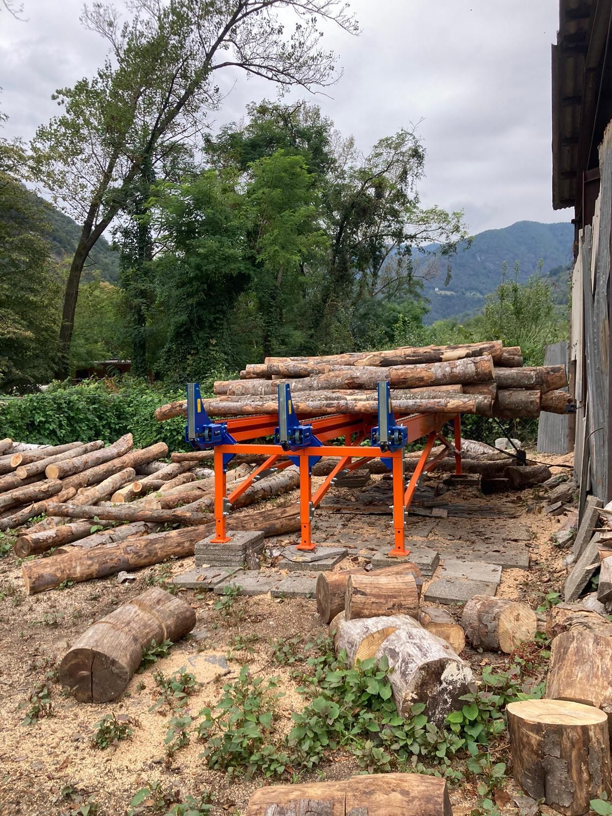 Una pila di tronchi seduti sopra un tavolo di legno.