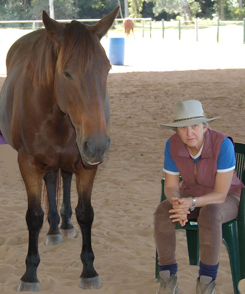 A Woman in a Hat Sits Next to a Brown Horse — Equine Alliance in Palmwoods, QLD