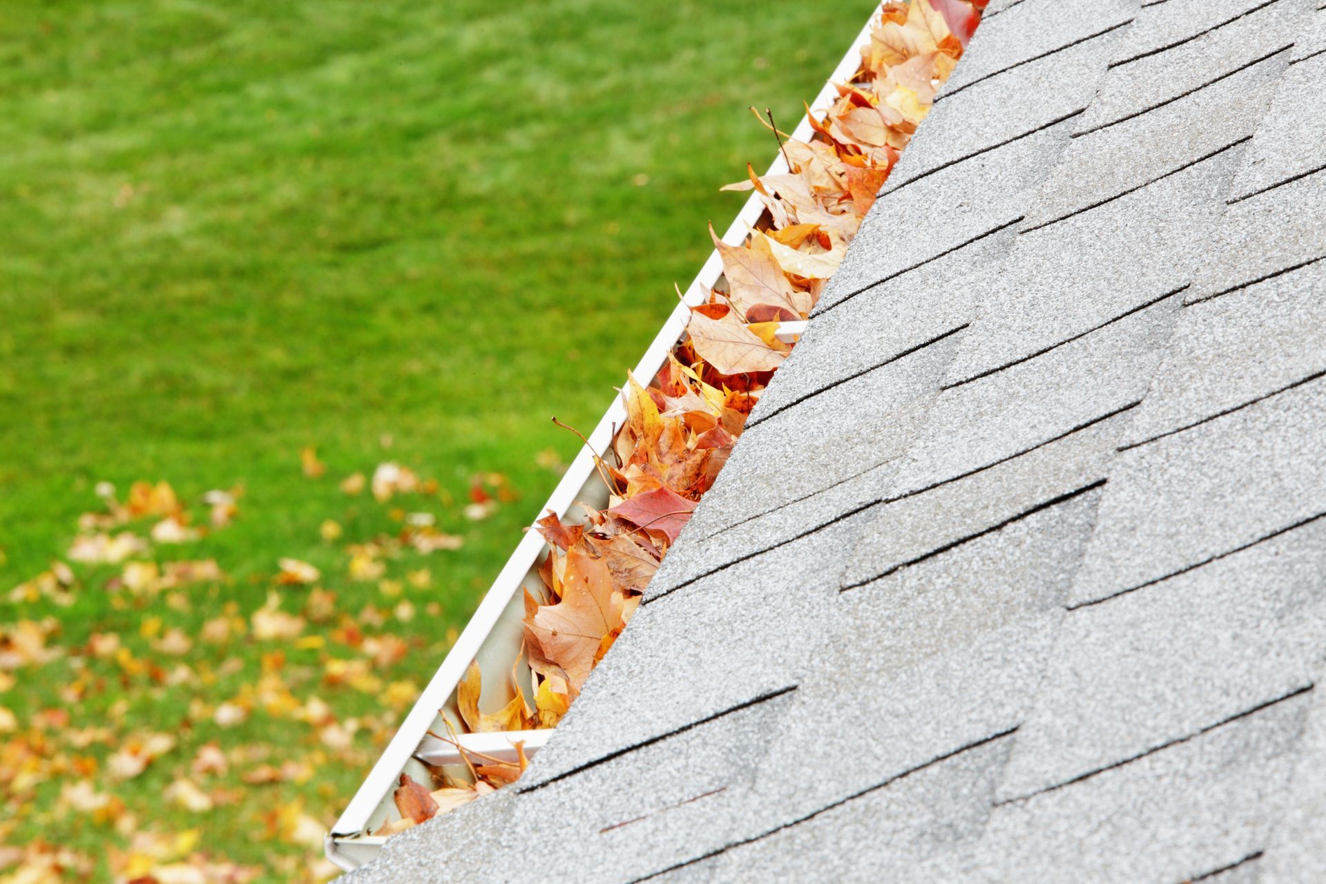 A gutter filled with leaves on a roof with a lawn in the background.