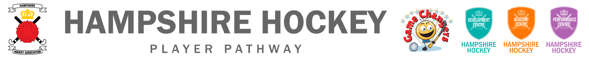 A blurry picture of a logo for hampshire hockey