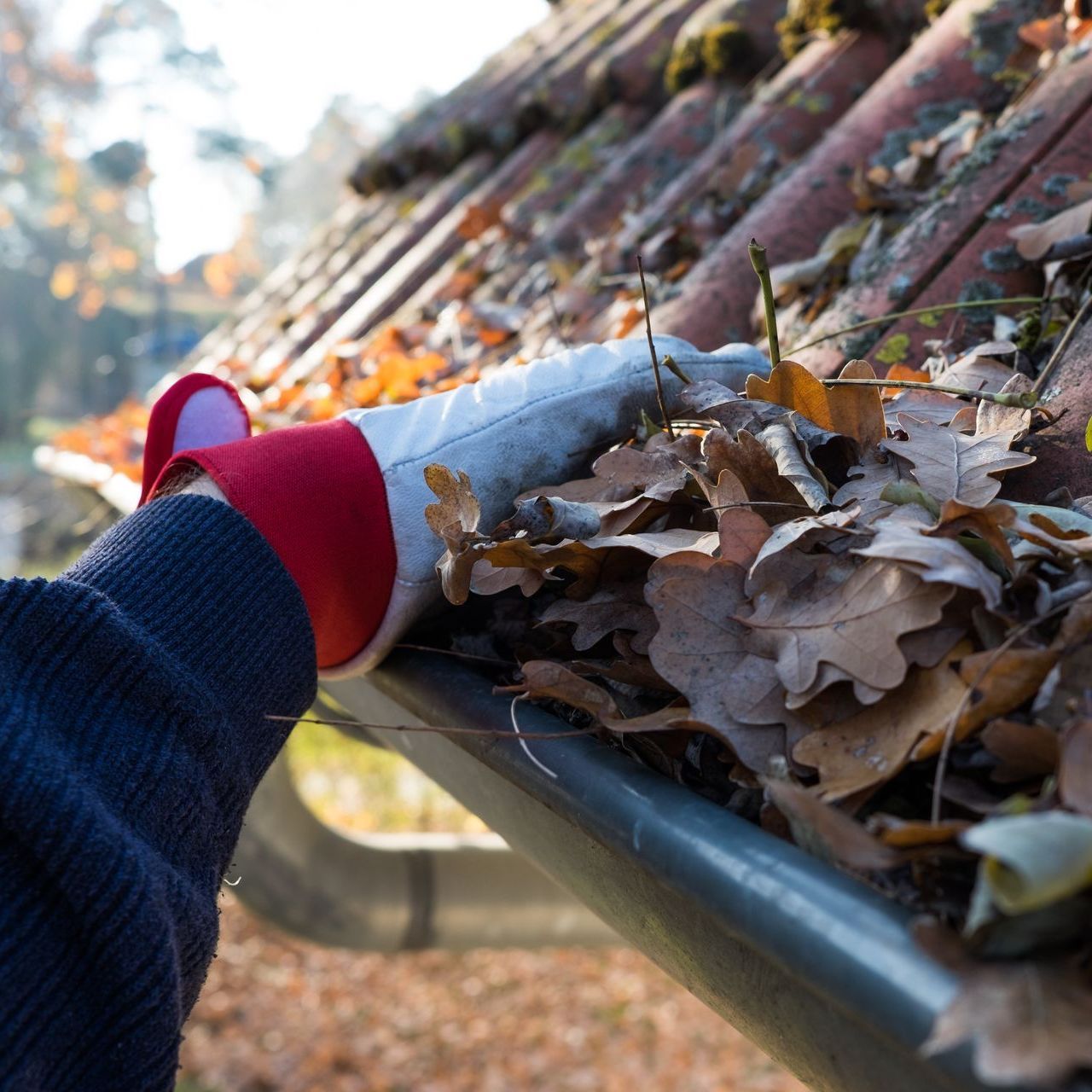a person is cleaning a gutter with leaves on it