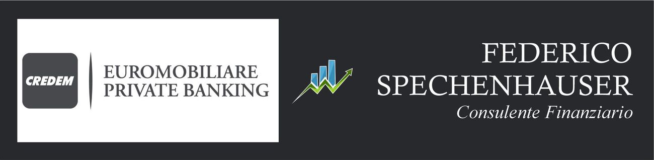 Un logo in bianco e nero per federico spechenhauser