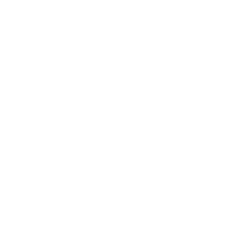 Skin Studio Logo