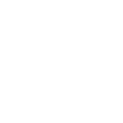 skin studio logo