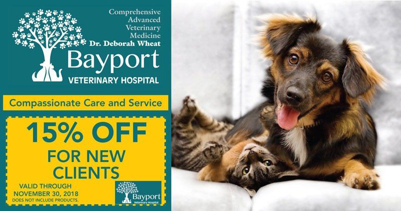 Bayport Veterinary Hospital Postcard