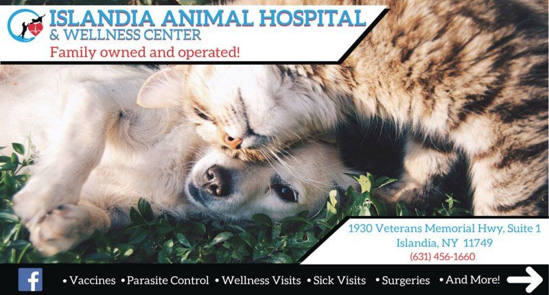 Islandia Animal Hospital & Wellness Center Postcard