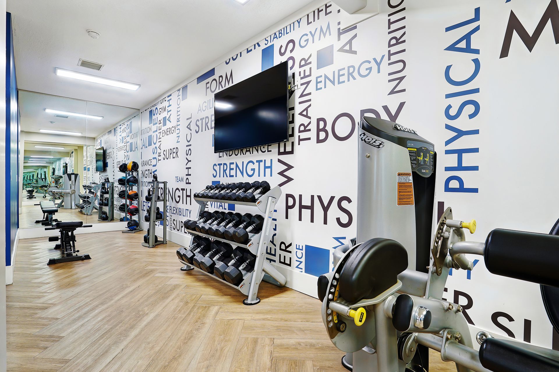 Interior view of a community gym at Woodgate with dumbbells, weight machines, and a wall mural.