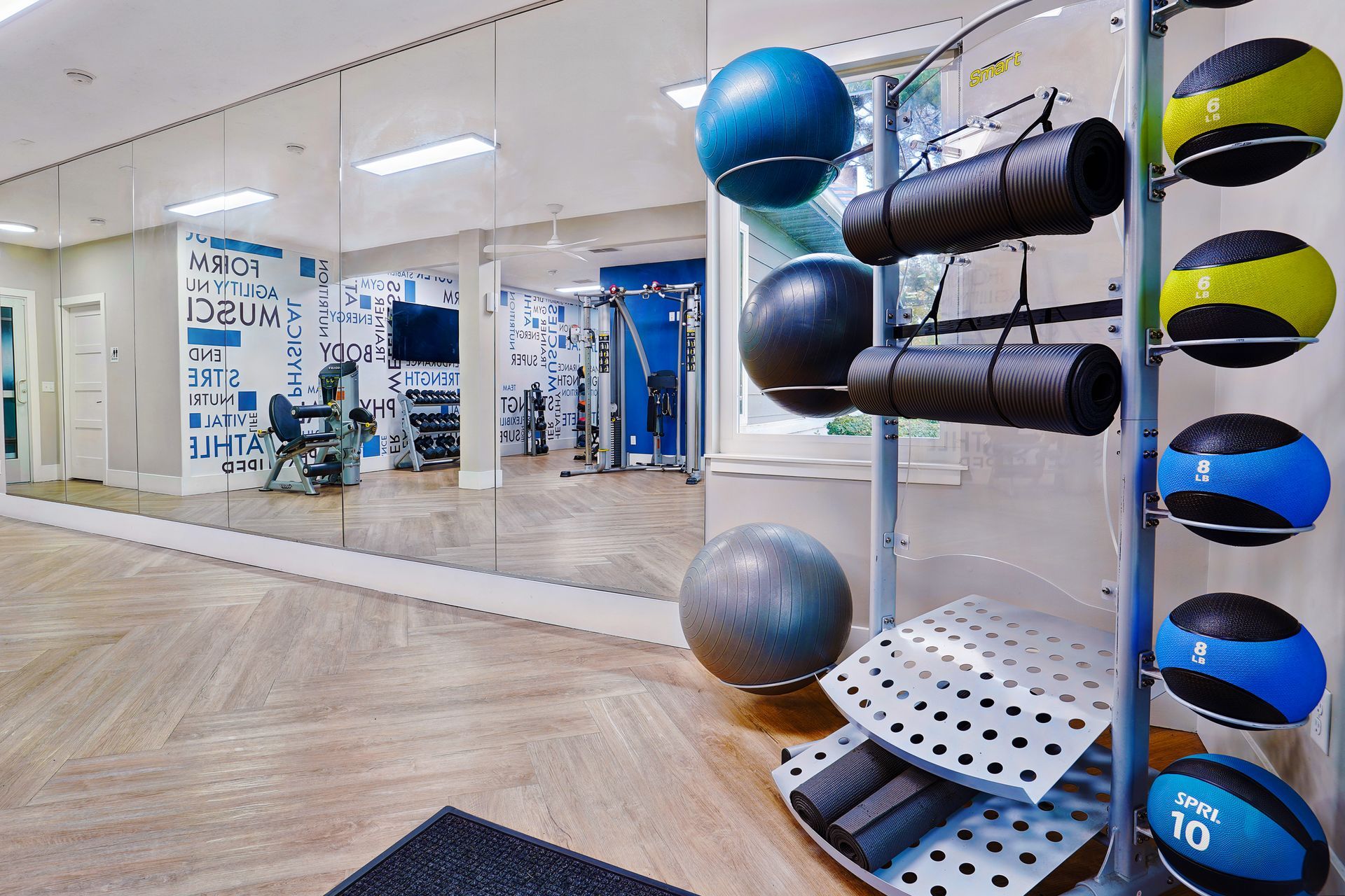 Gym with mirrored wall, weight rack, medicine balls, and exercise mats.