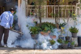 A person in a blue shirt sprays dense white fog to fumigate potted plants near a building entrance.