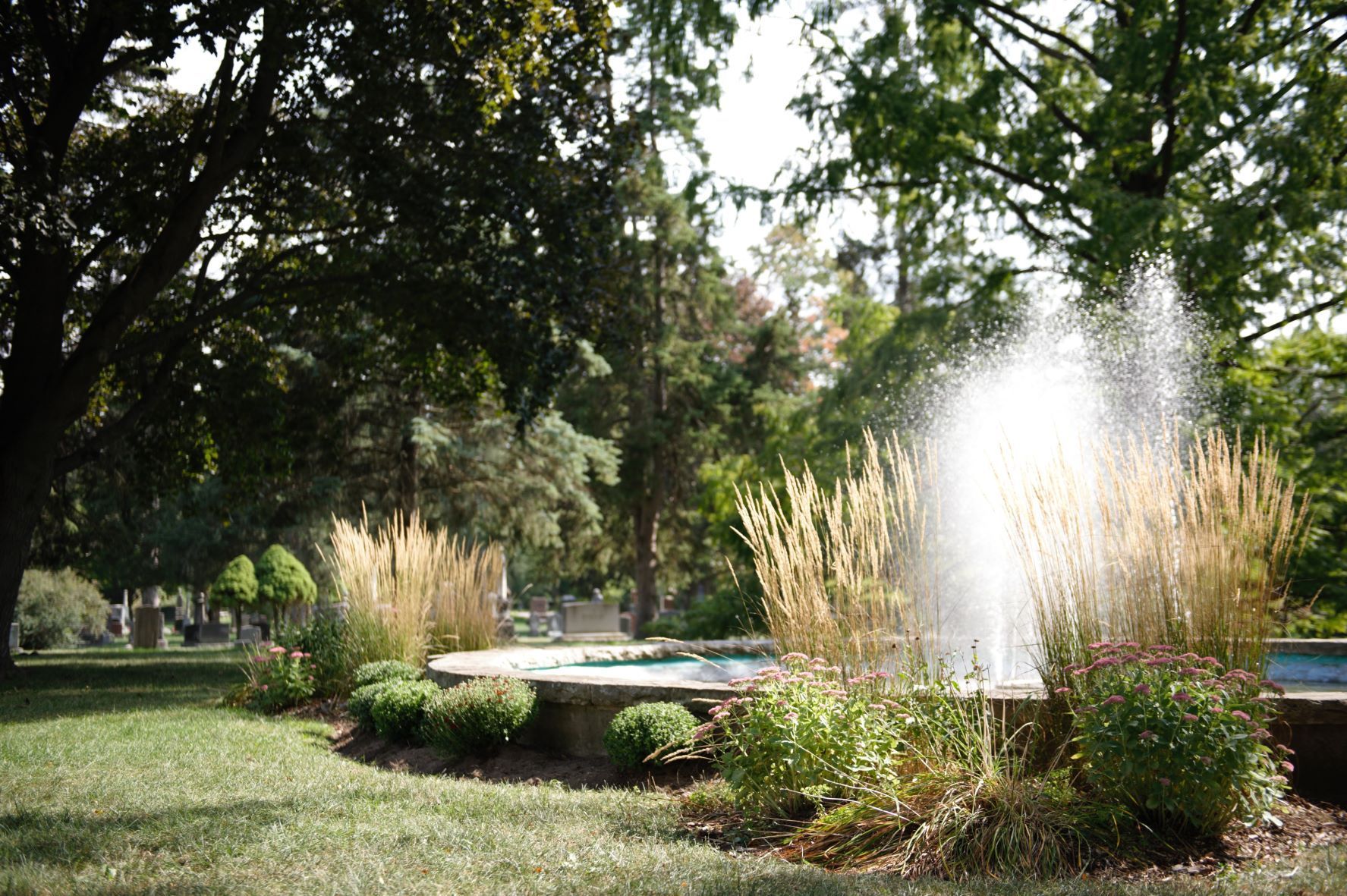 A park fountain sprays water upward, surrounded by ornamental grasses, manicured shrubs, and lush green trees.
