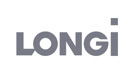 Logo for LONGi, gray text on white background.