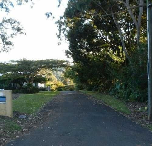 A road Going Through a Lush Green Forest with trees on both sides — Roll Formed Driveways in Yandina, QLD