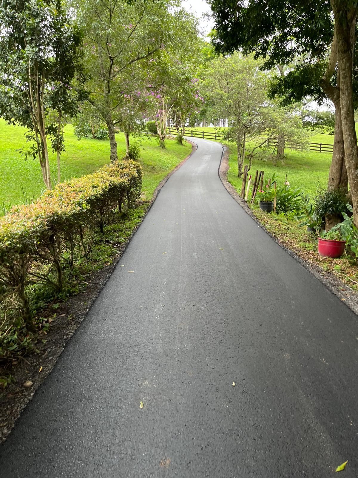 A Road Going Through A Park With Trees On Both Sides — Roll Formed Driveways in Yandina, QLD