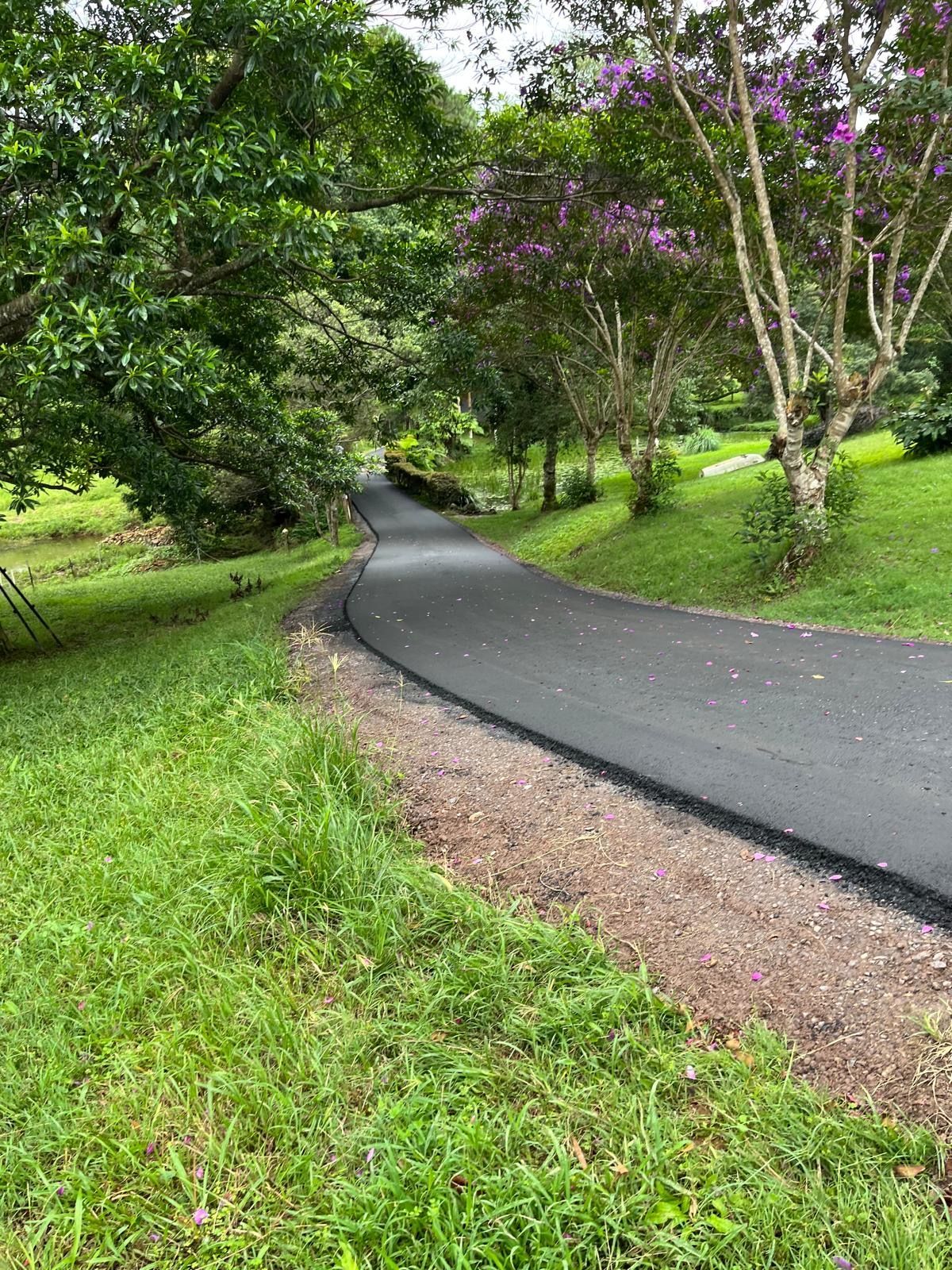 A Road Going Through A Park With Trees And Grass On Both Sides — Roll Formed Driveways in Yandina, QLD