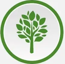 certificazione icona