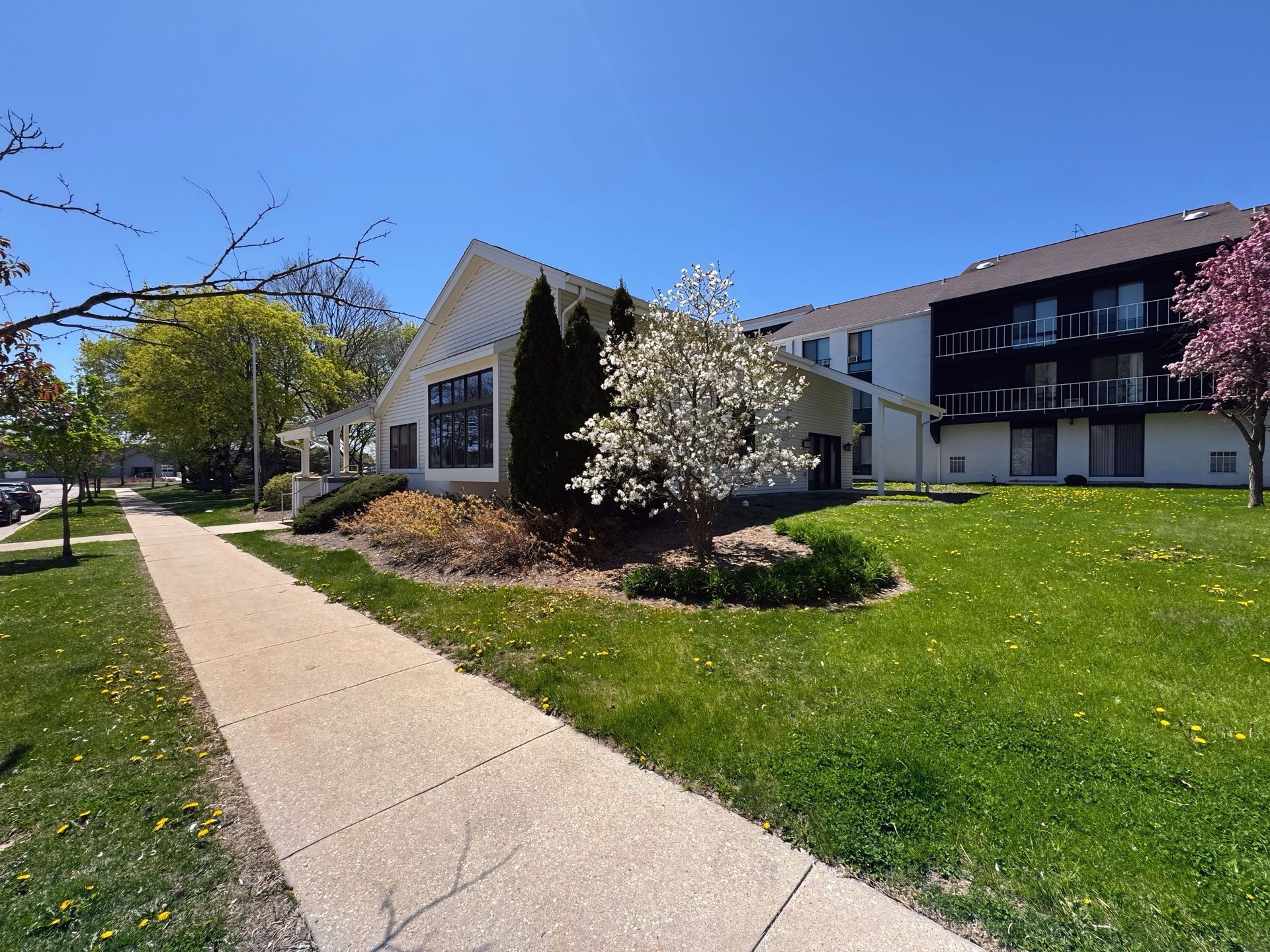A sidewalk leading to a large building with a tree in front of it.