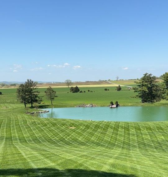 There is a pond in the middle of a grassy field.
