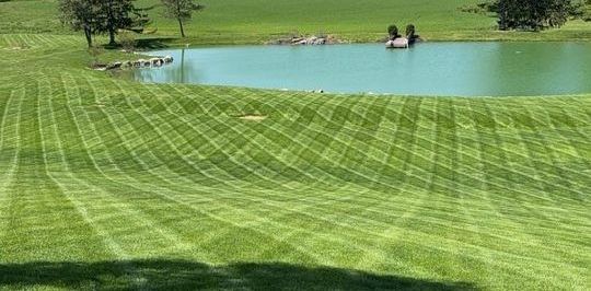 Lush green lawn with patterned mowing lines sloping down towards a serene turquoise pond and trees.