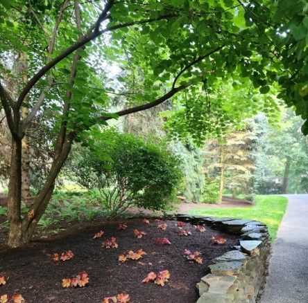 A stone wall along a path in a park with trees and leaves on the ground.