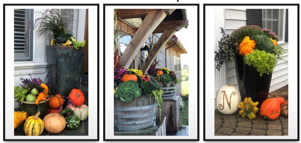 Three pictures of a porch decorated for fall with pumpkins and flowers.