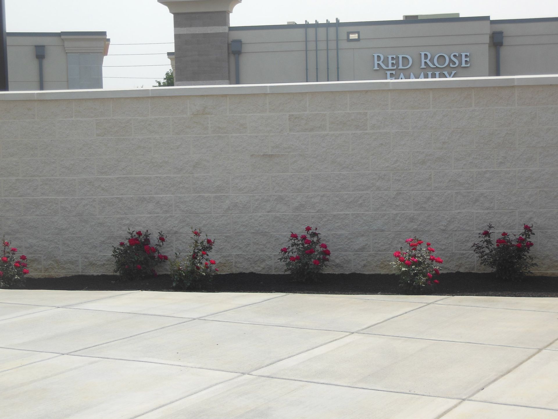 A brick wall with red rose written on it