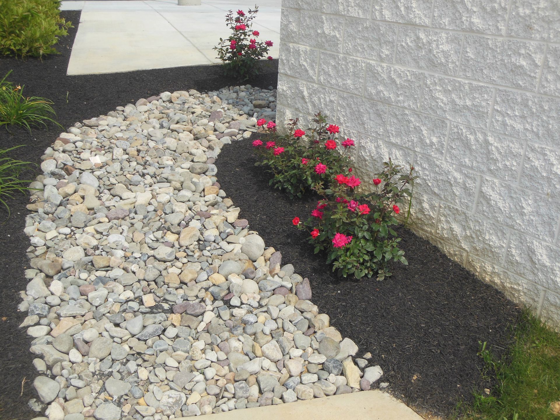 A walkway with rocks and flowers along the side of a building