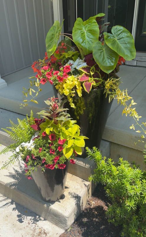 Two black planters filled with colorful flowers on a porch. Lush green plants and red, yellow blooms.