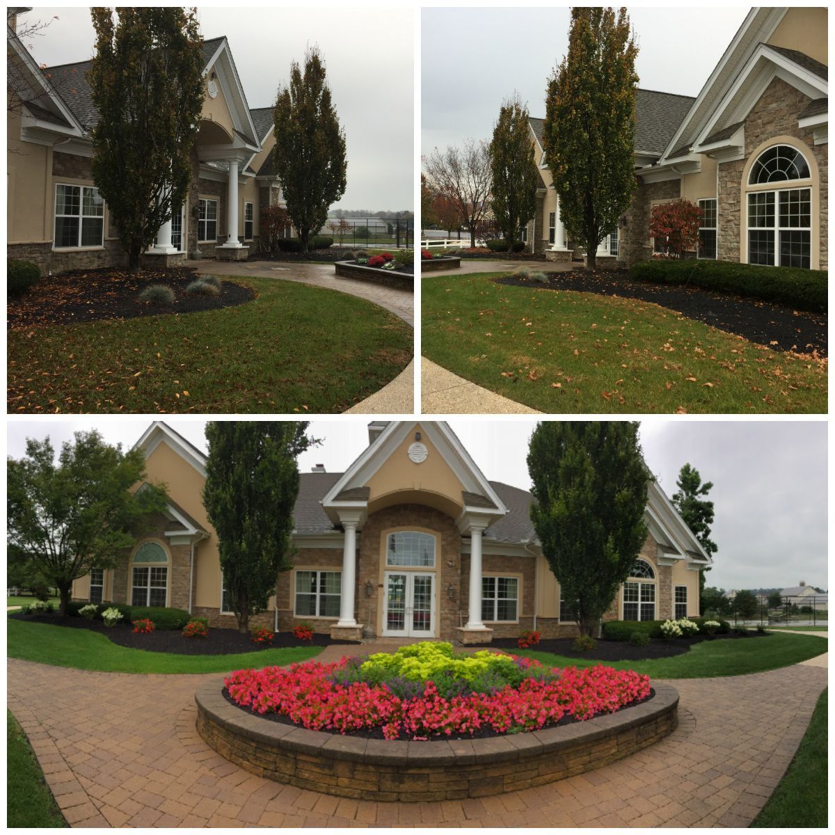 A collage of four pictures of a house with flowers in front of it