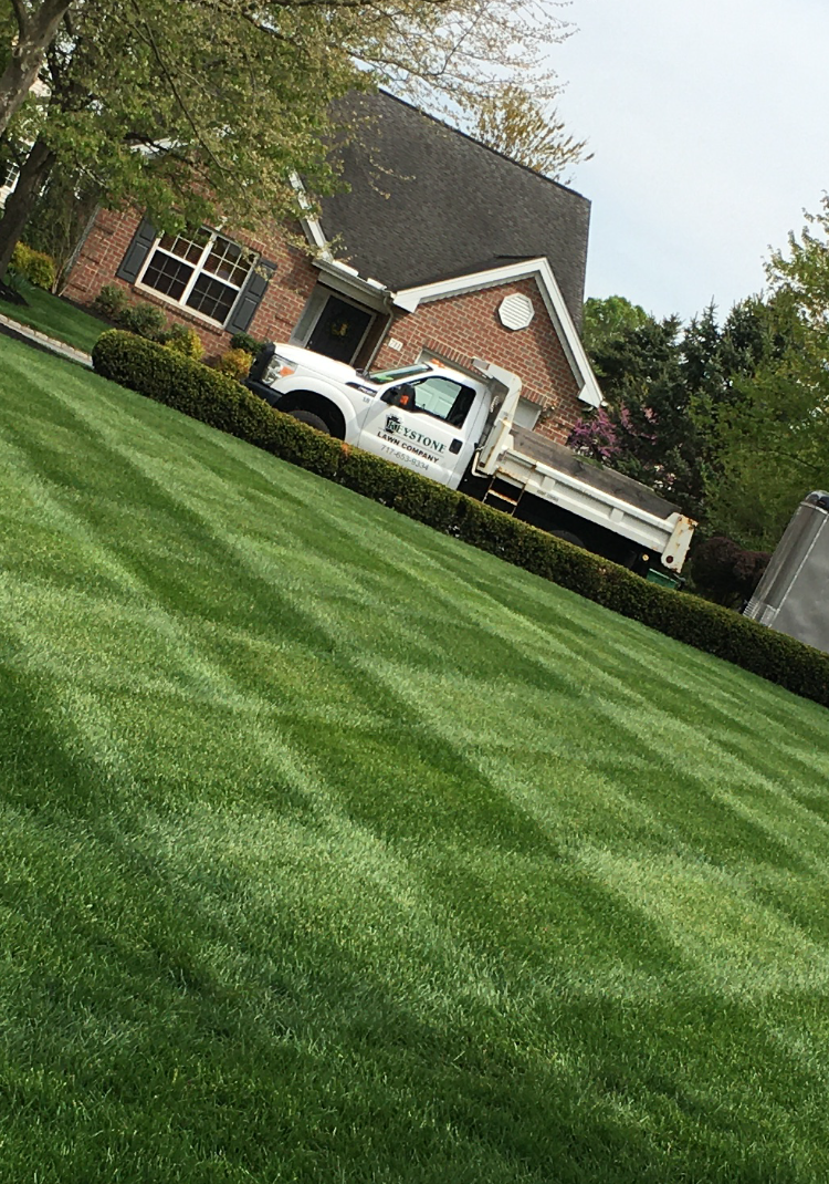 A white truck is parked in front of a lush green lawn.