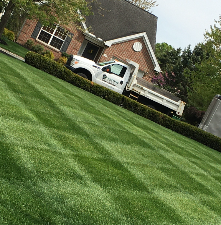 White landscaping truck on a sloped, manicured lawn in front of a brick house.