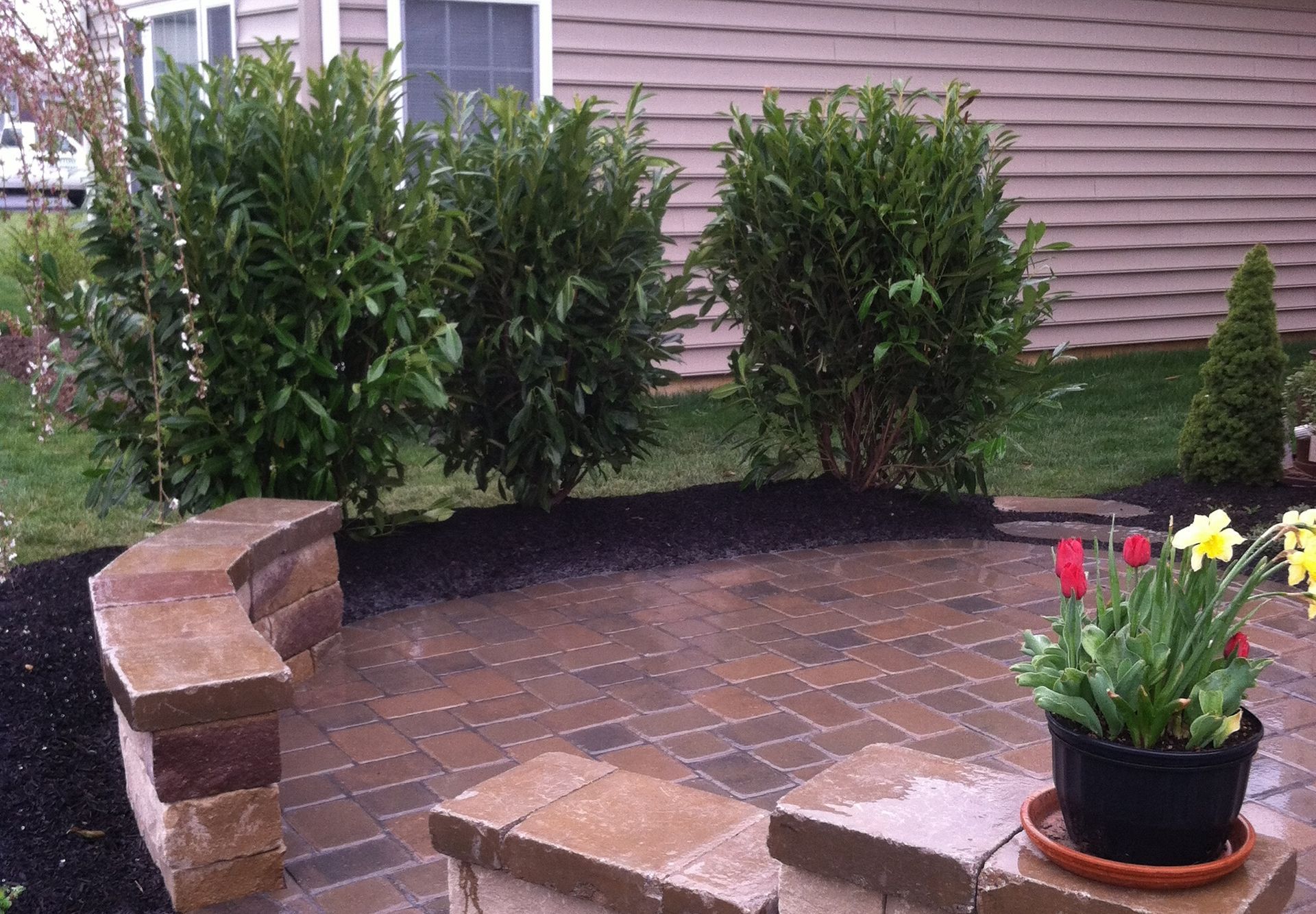 A potted plant is sitting on a brick patio in front of a house.