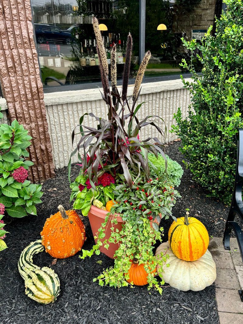 Fall planter with pumpkins and gourds.