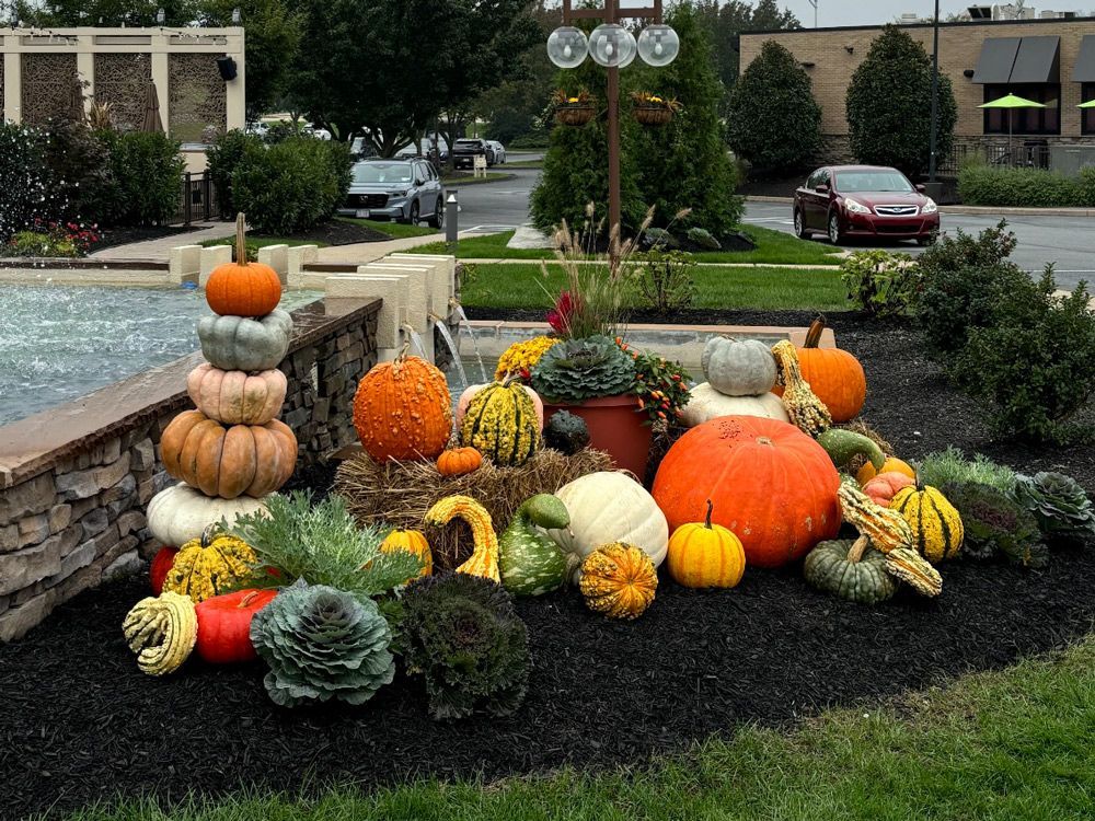 Fall display: Pumpkins, gourds, and plants arranged near a fountain and landscaping.