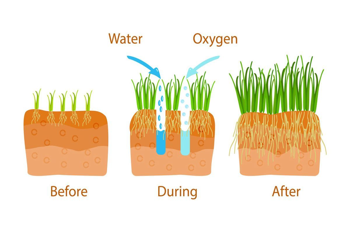 Diagram showing before, during, and after aerating grass, with arrows indicating water and oxygen flow.