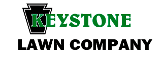 the logo for keystone pest solutions is blue and black .