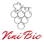 ViniBic logo