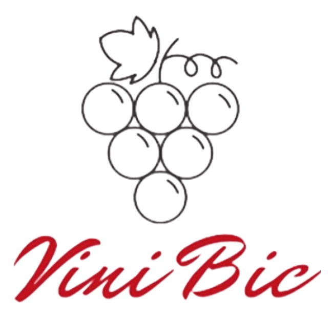 VINIBIC Logo