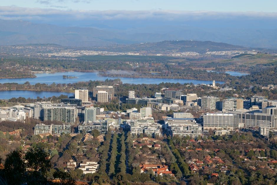 Canberra's Leading SEO Companies: Who's on Top?