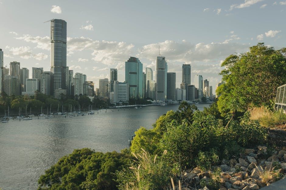 Mastering Organic SEO in Brisbane: A Step-by-Step Guide