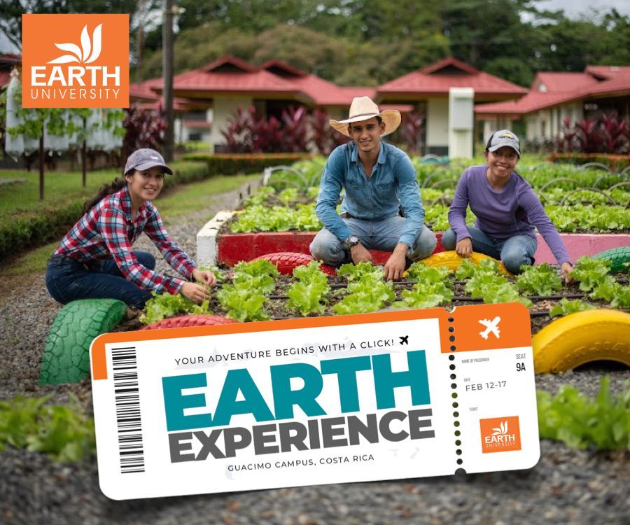 Three people are sitting in a garden with a ticket that says earth experience