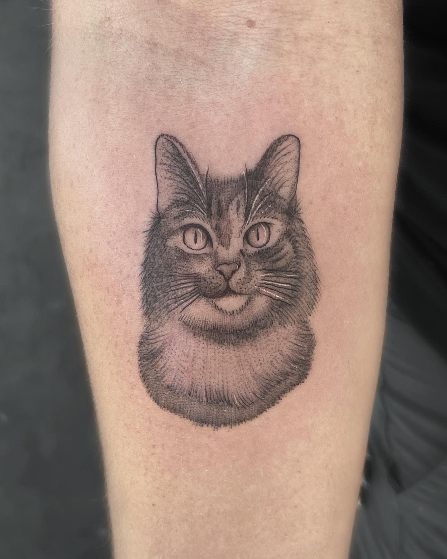 Tattoo of a cat's face on a person's arm, done in a dotwork style.