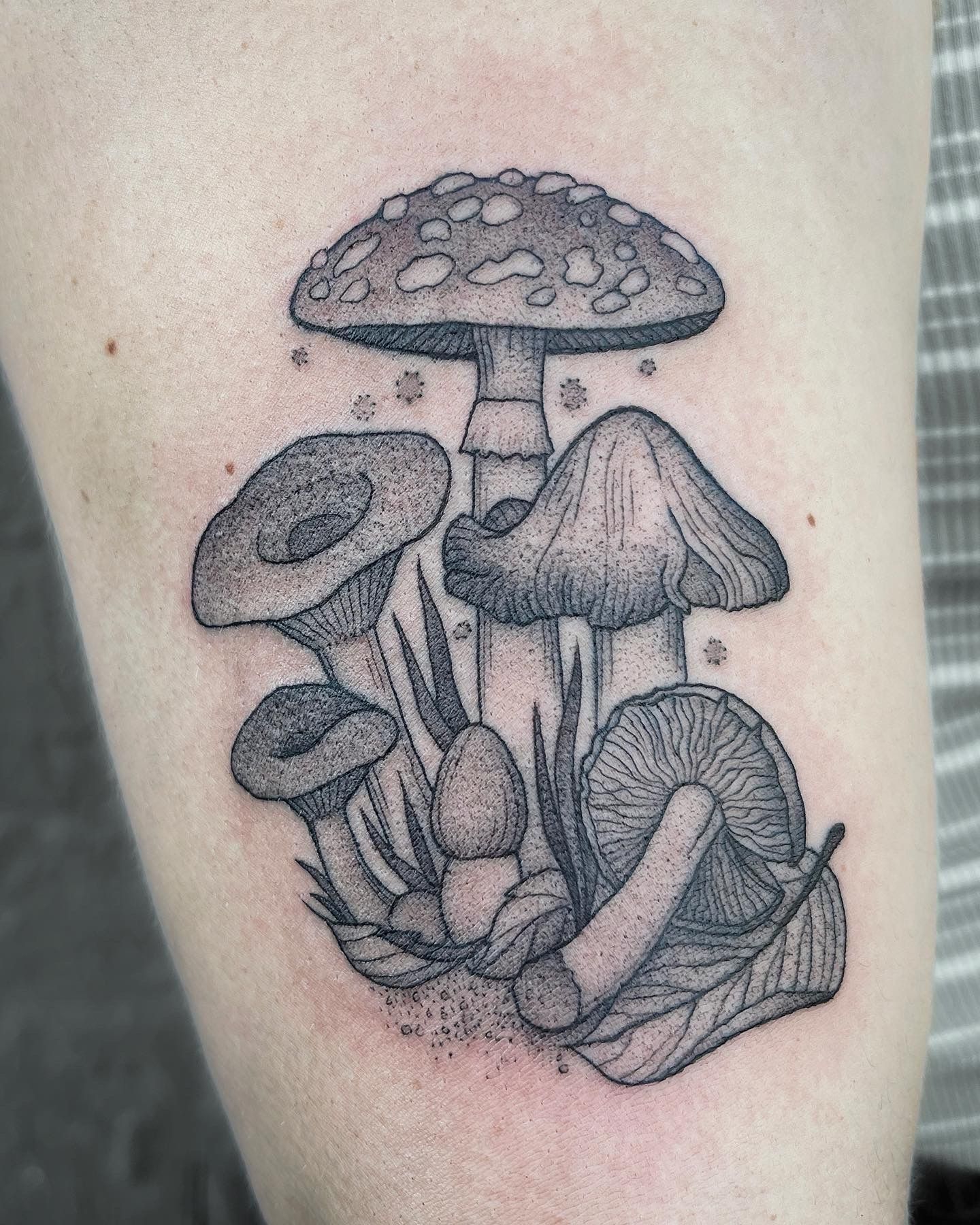 Black and white tattoo of mushrooms with a snail on an arm.