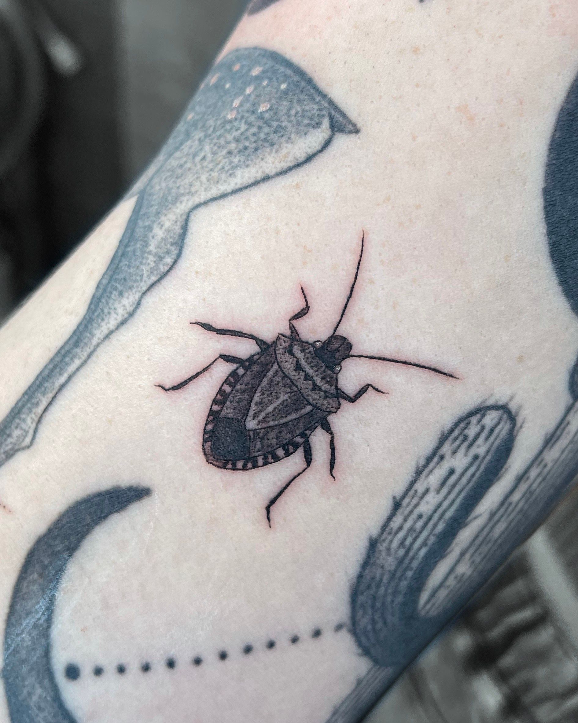 Tattoo of a black shield bug on a person's arm. Other faded tattoos are also visible.